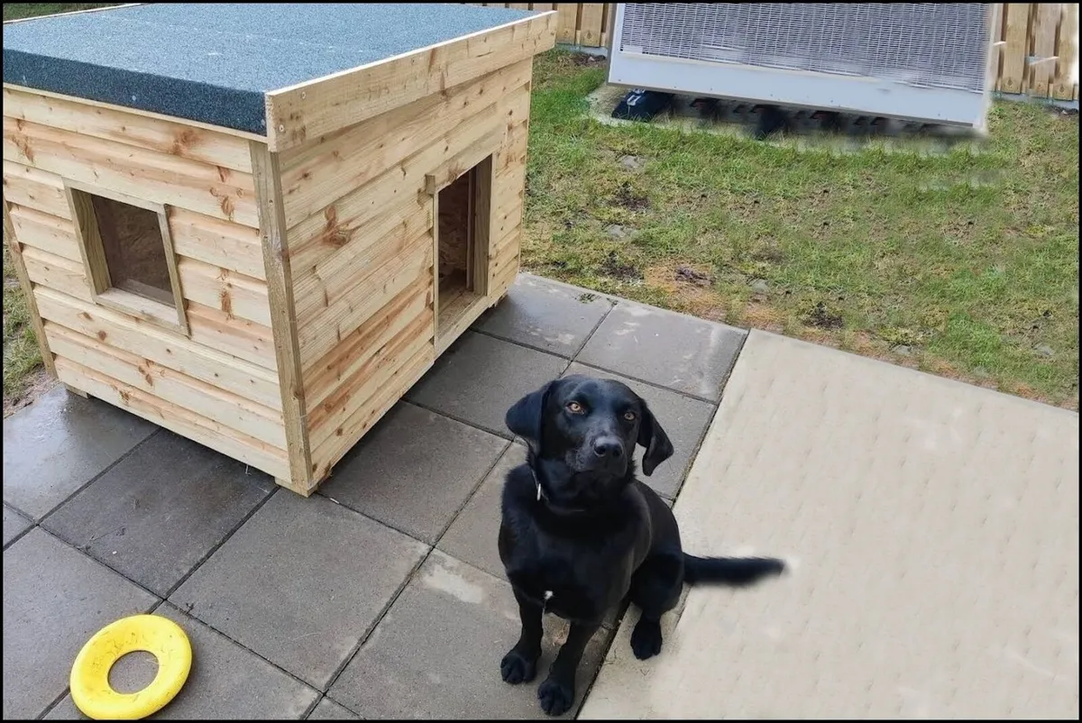 Dog Kennels - Image 4