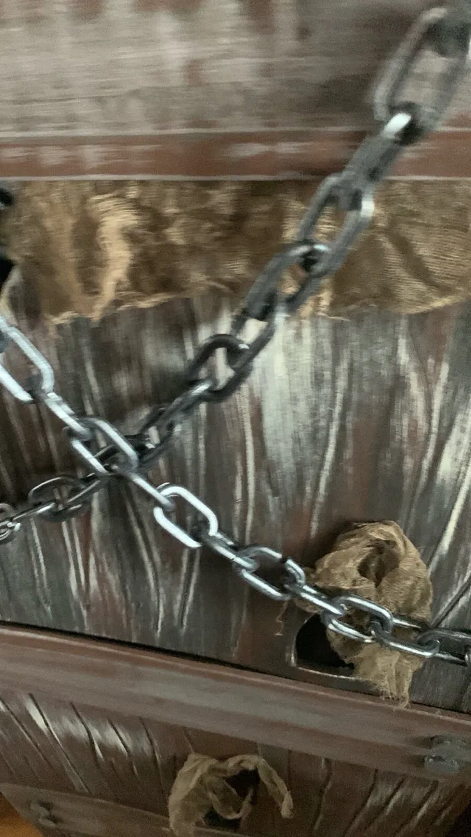 halloween coffin was 130 - Image 3