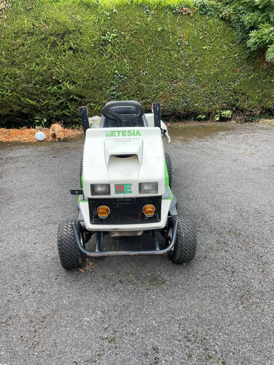 Lawnmower - Image 3