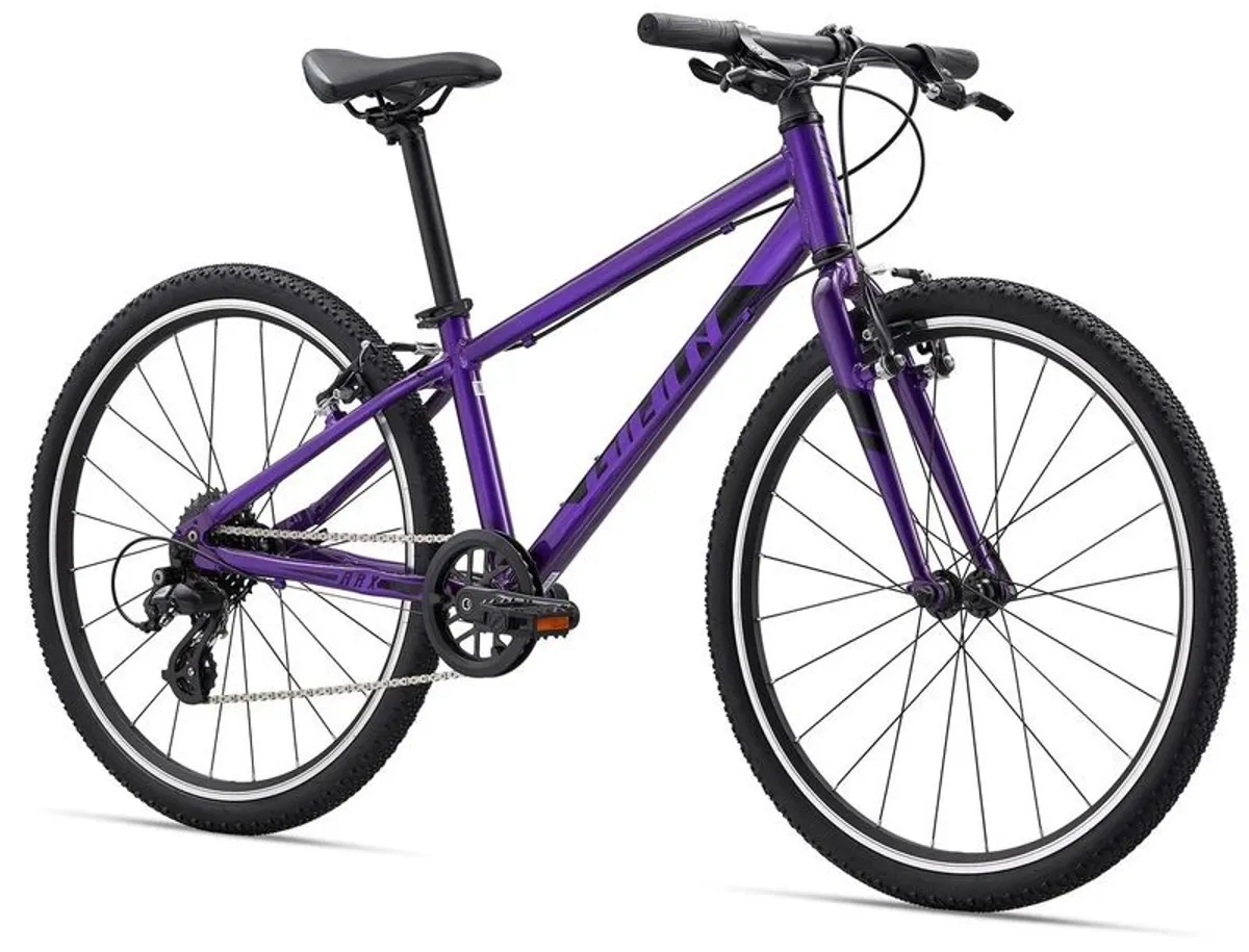 Giant ARX 24" Junior Bike - Purple - Image 1