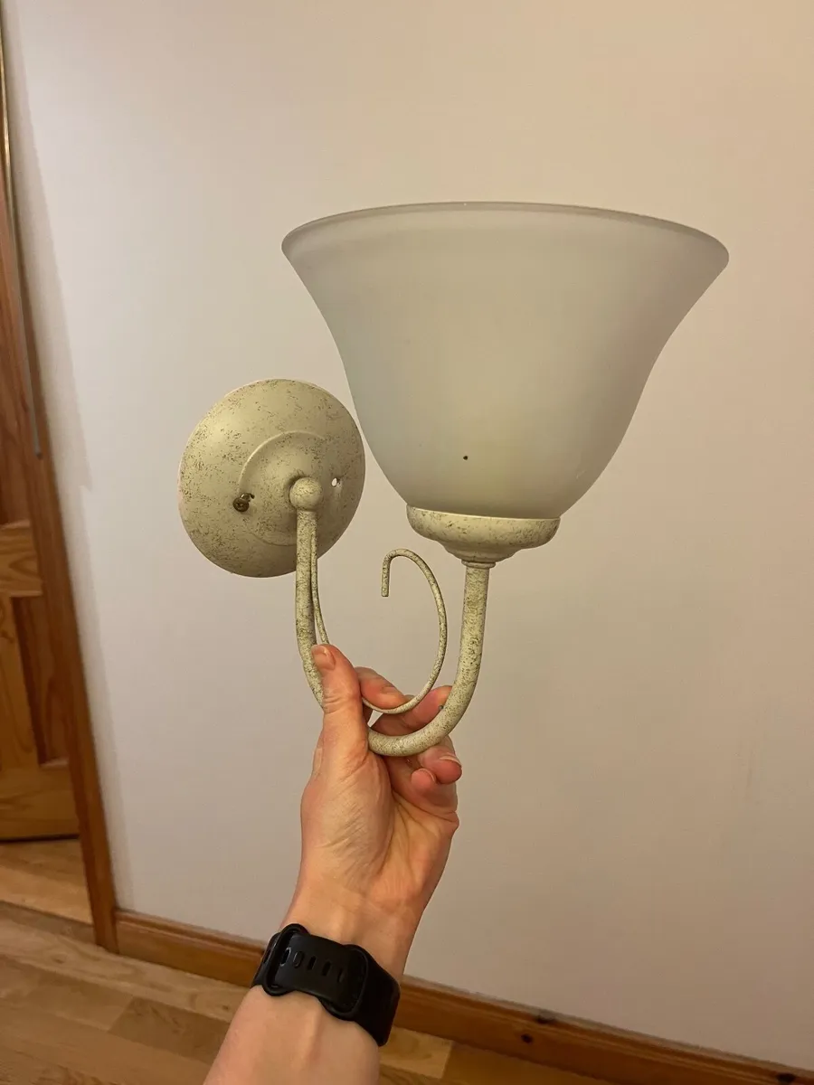 Frosted Glass Wall Light - Image 1