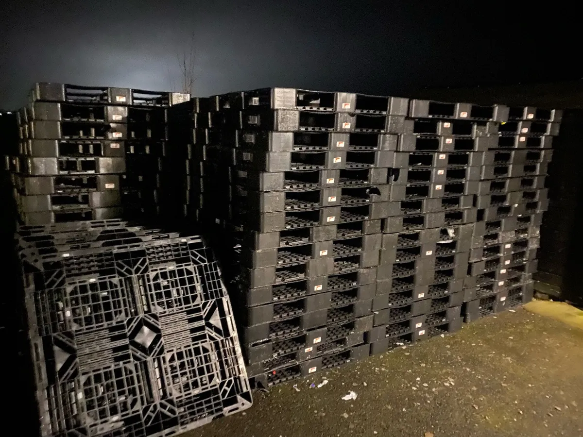Plastic pallets for sale - Image 4