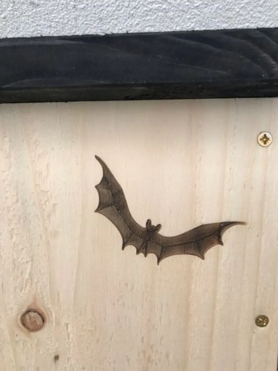 Bat boxes - Image 2
