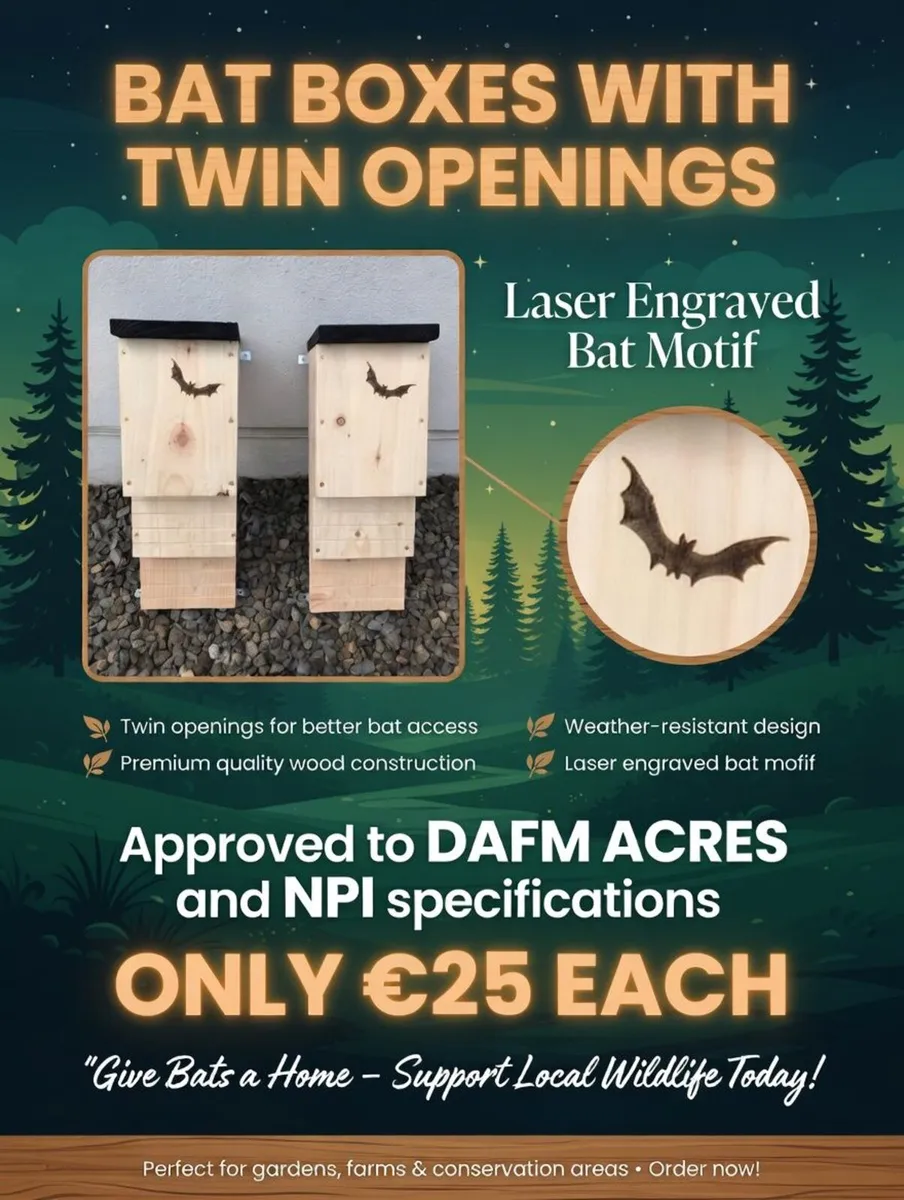 Bat boxes - Image 1