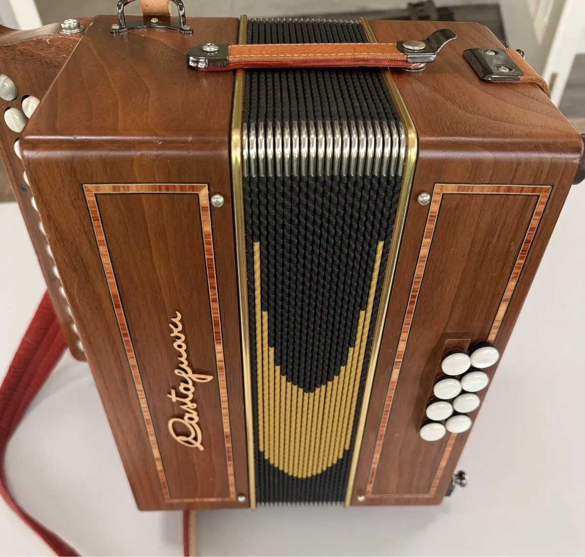Castagnari Ciacy B/C Accordion - Image 2