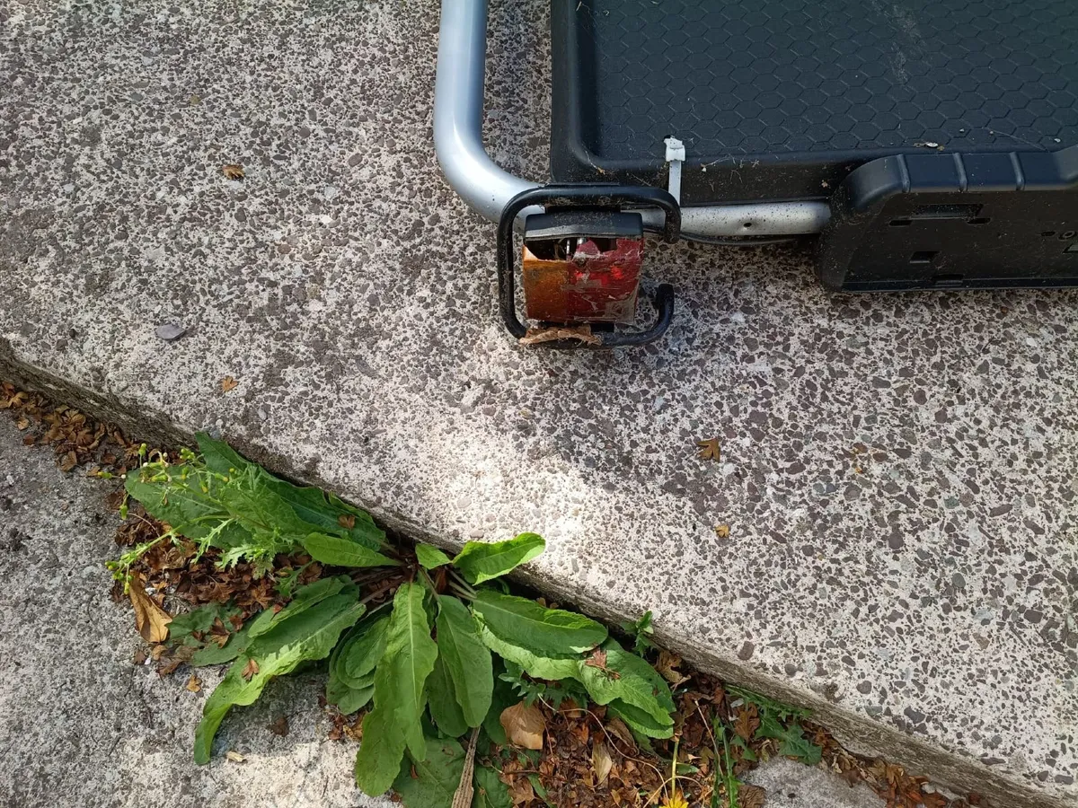 Thule Car towbar carrier - Image 3