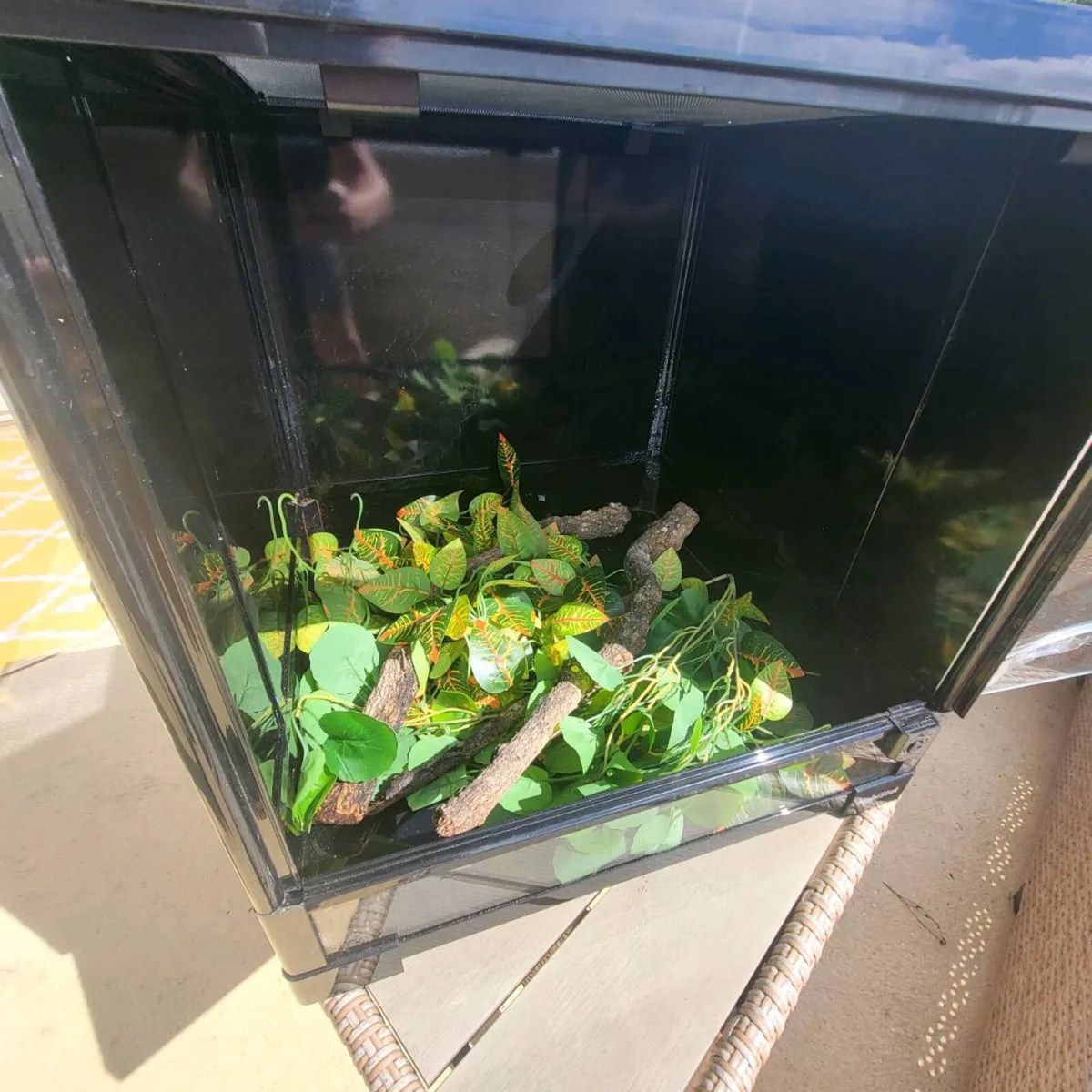 Reptile enclosure - Image 1