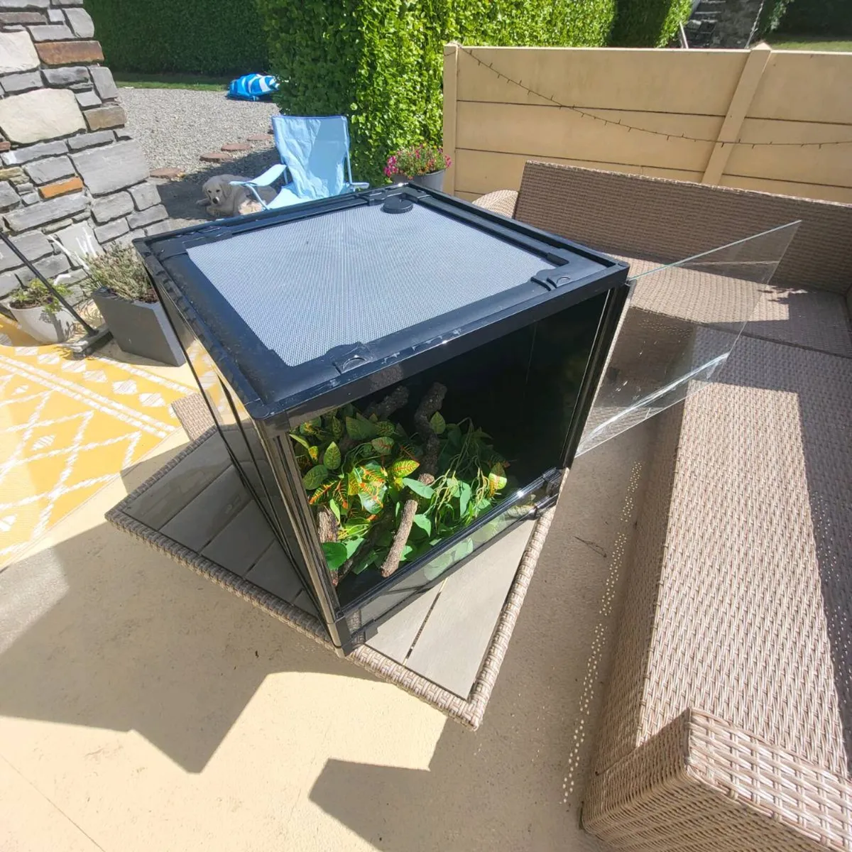 Reptile enclosure - Image 2