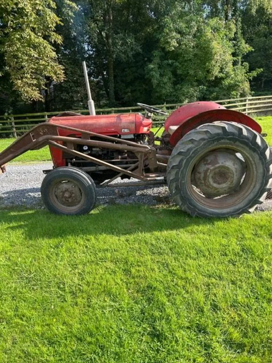 1958 MF 35 4cyl - Image 1