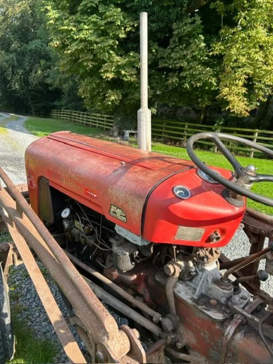 1958 MF 35 4cyl - Image 2