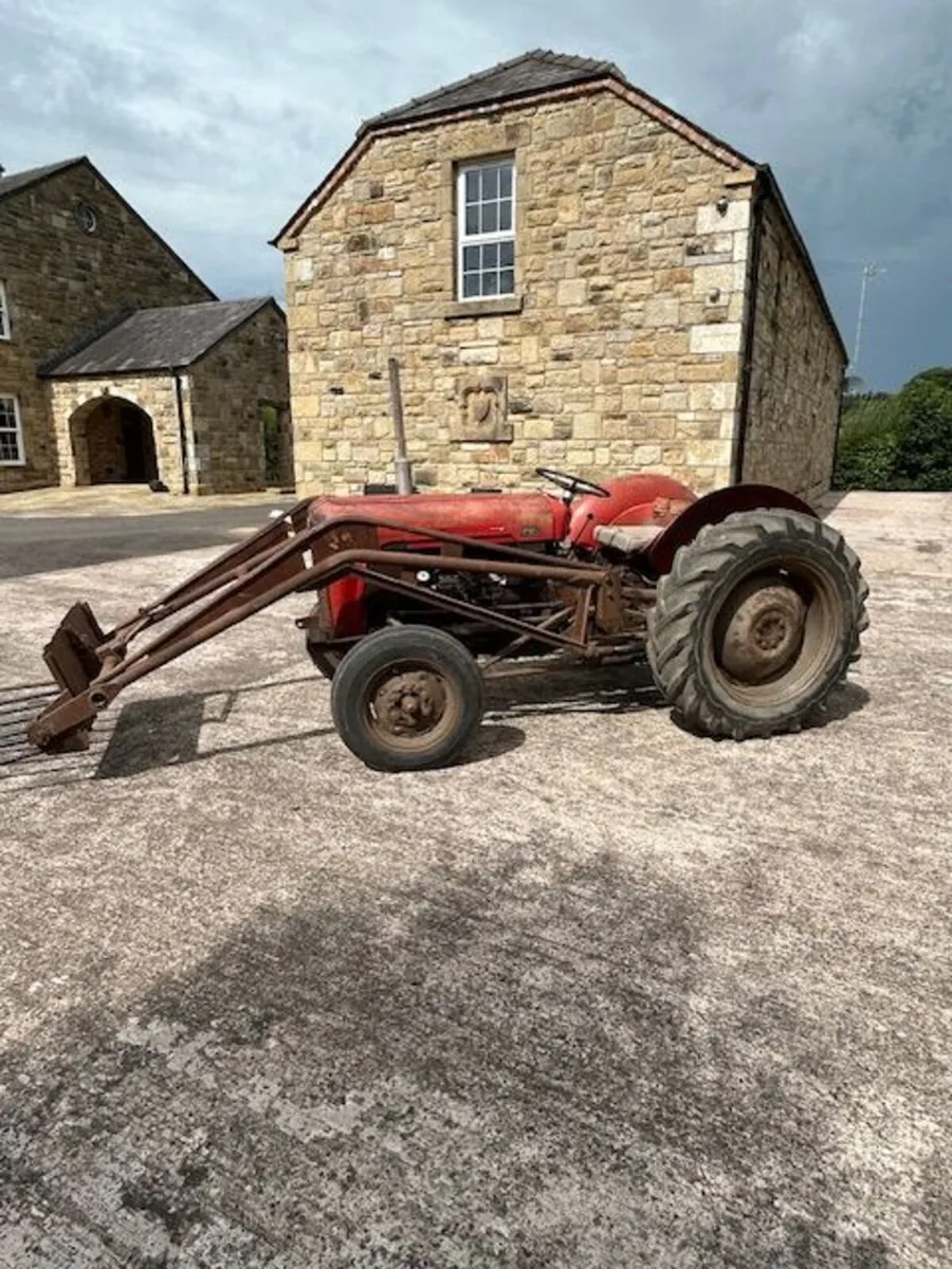 1958 MF 35 4cyl - Image 3