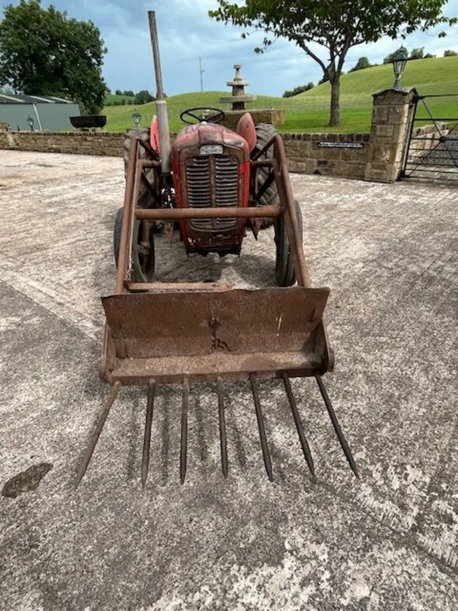 1958 MF 35 4cyl - Image 4