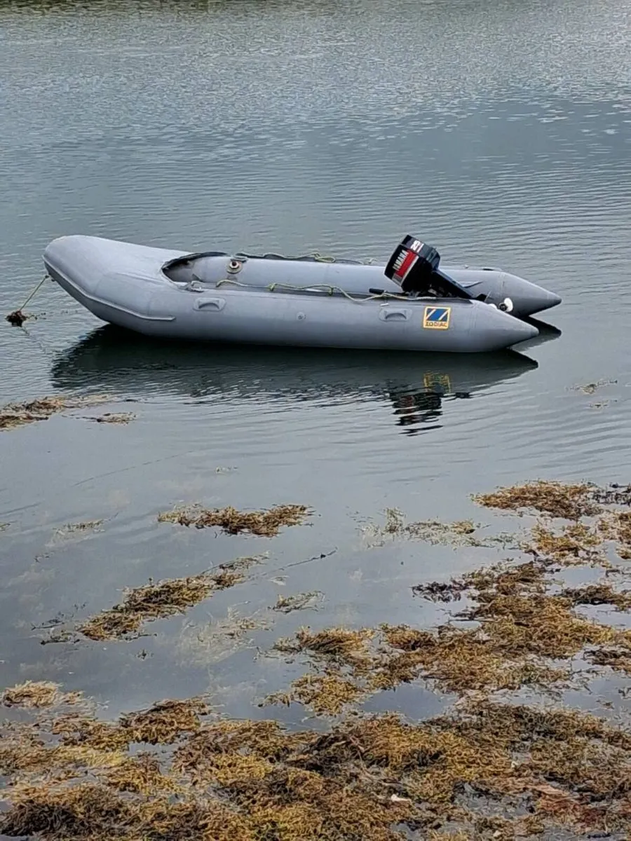 Zodiac Dingy Yamaha Engine - Image 1