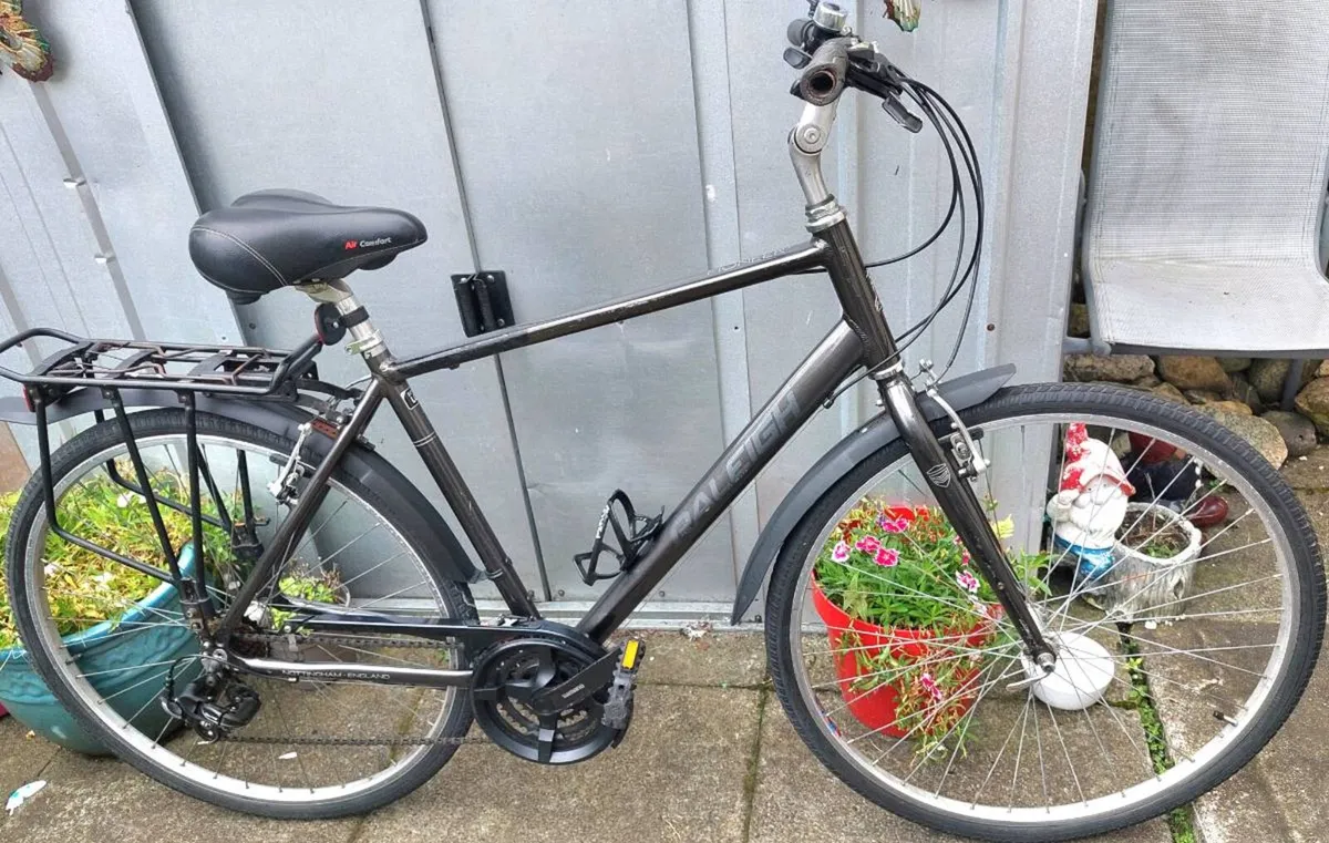 Raleigh Pioneer Large Frame - Image 2