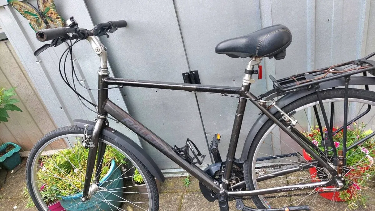 Raleigh Pioneer Large Frame - Image 4