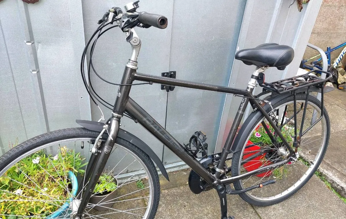 Raleigh Pioneer Large Frame - Image 1