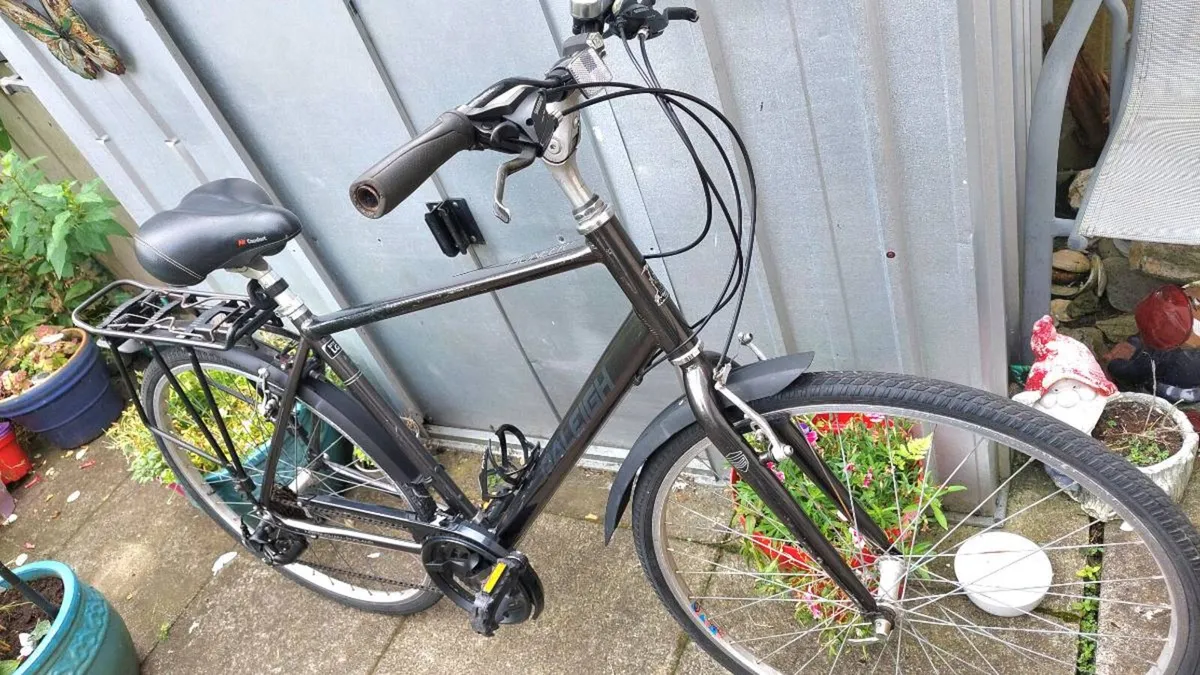 Raleigh Pioneer Large Frame - Image 3