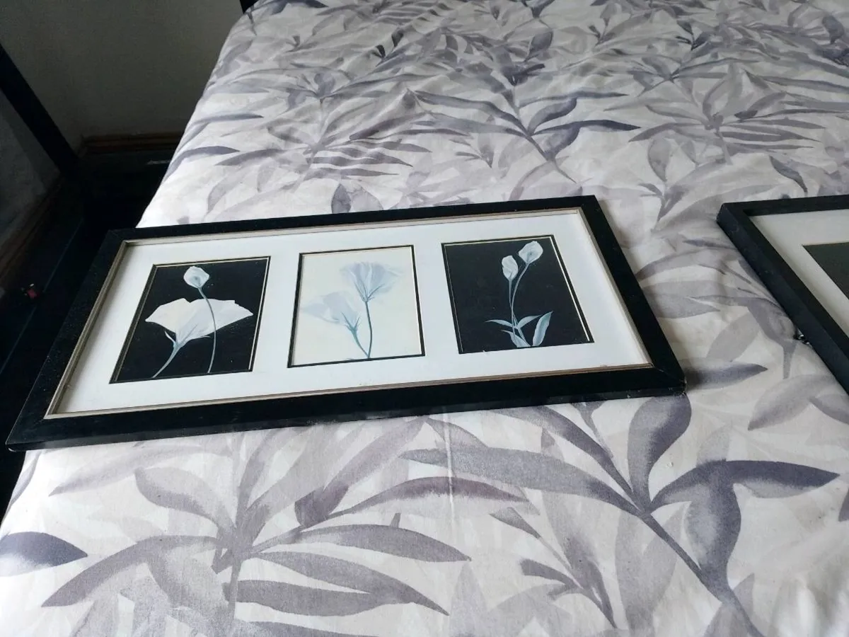 Wall pictures both for 20 euro No lower than 20EUR - Image 1