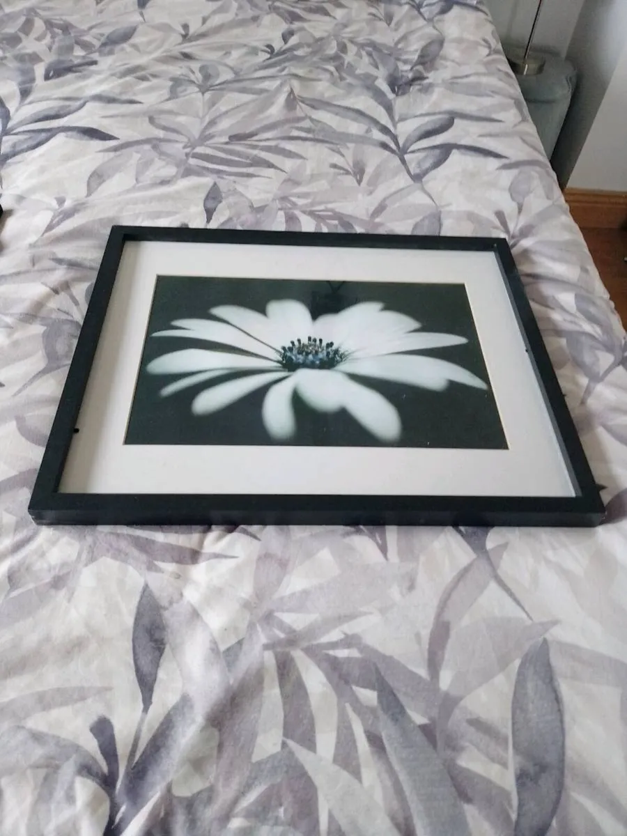 Wall pictures both for 20 euro No lower than 20EUR - Image 2