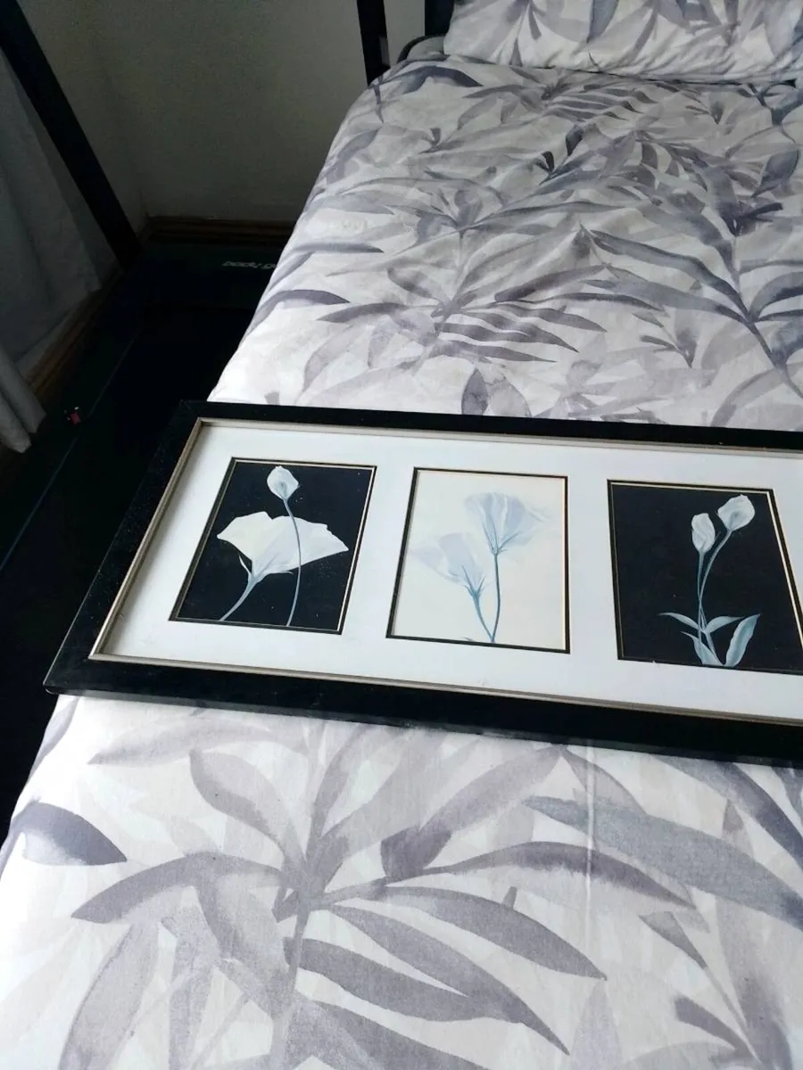 Wall pictures both for 20 euro No lower than 20EUR - Image 3