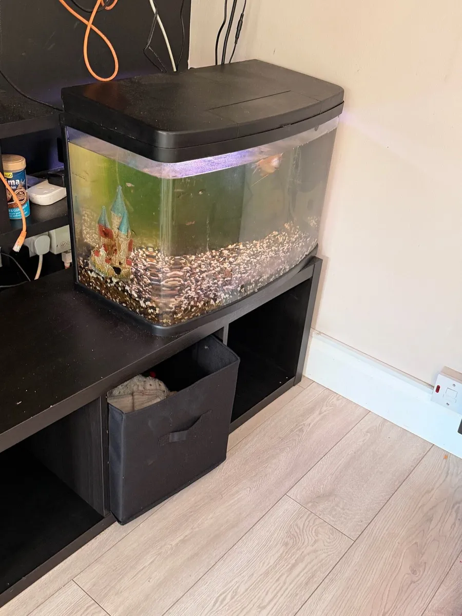 Fish Tank