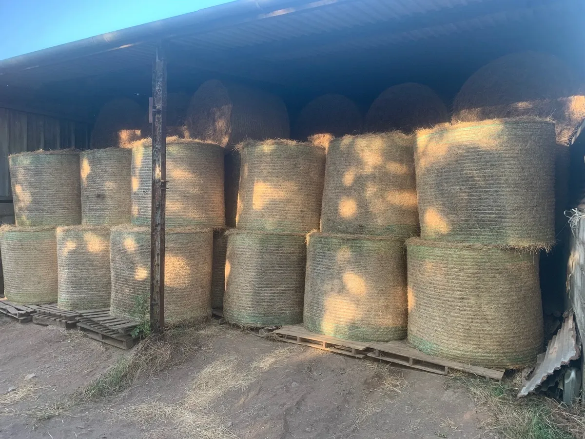 Organic hay - Image 1