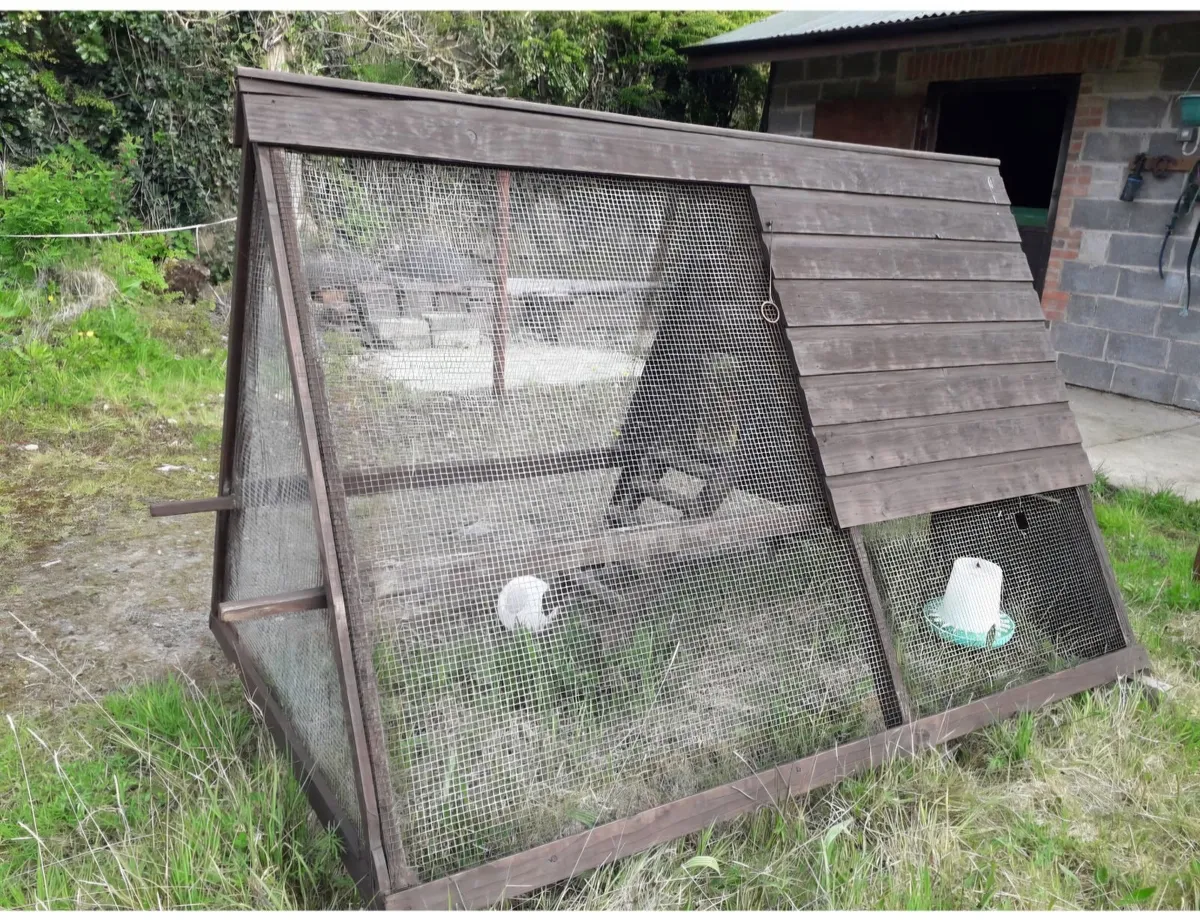 Chicken coup