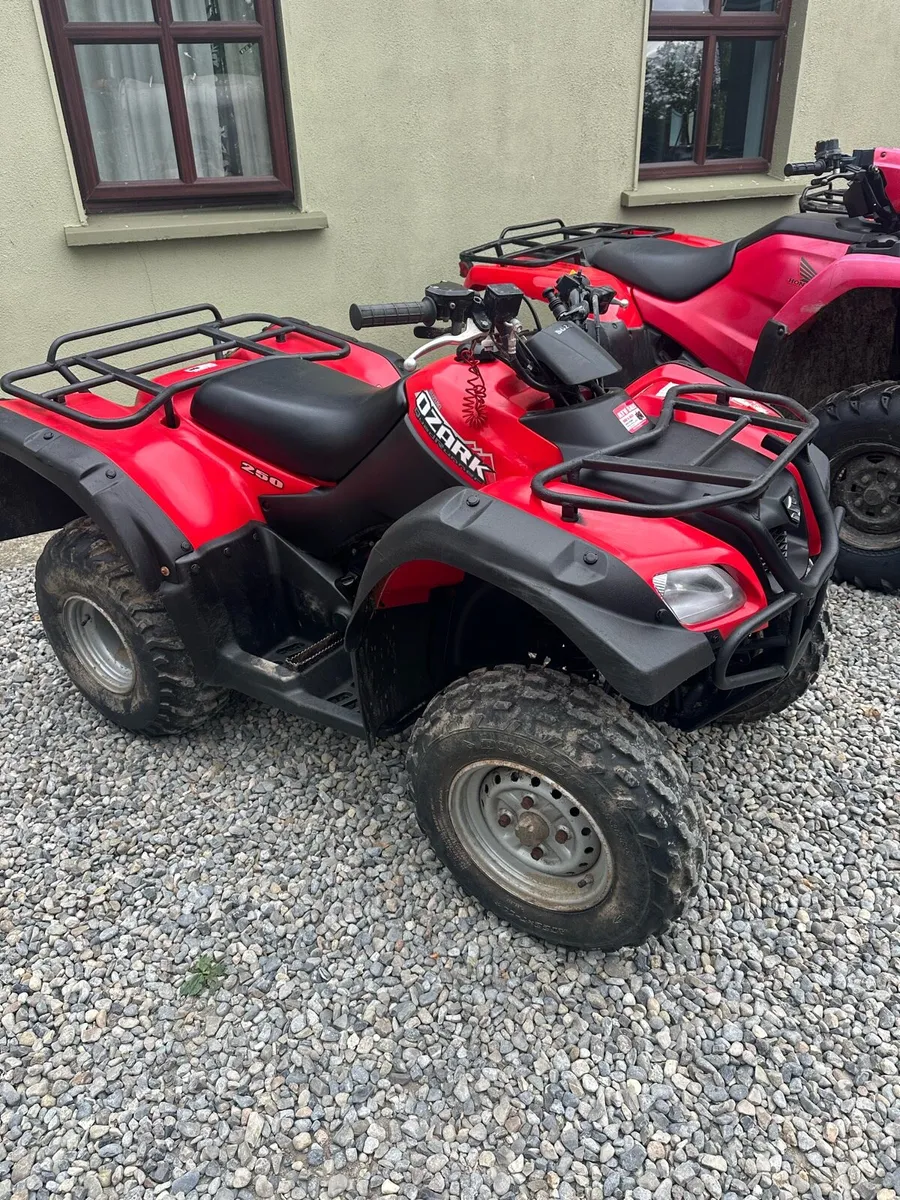 Suzuki Ozark - Image 4