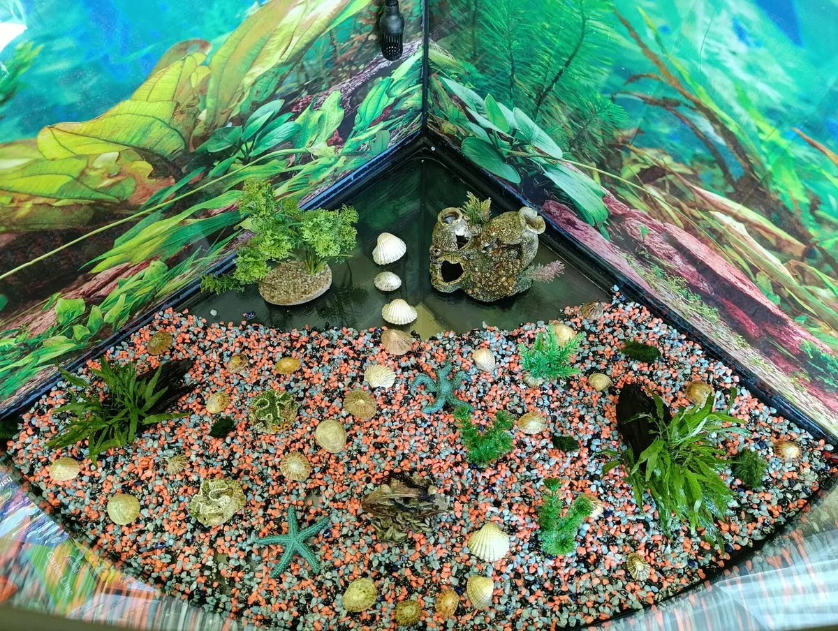 Fishtank 350L - Image 3