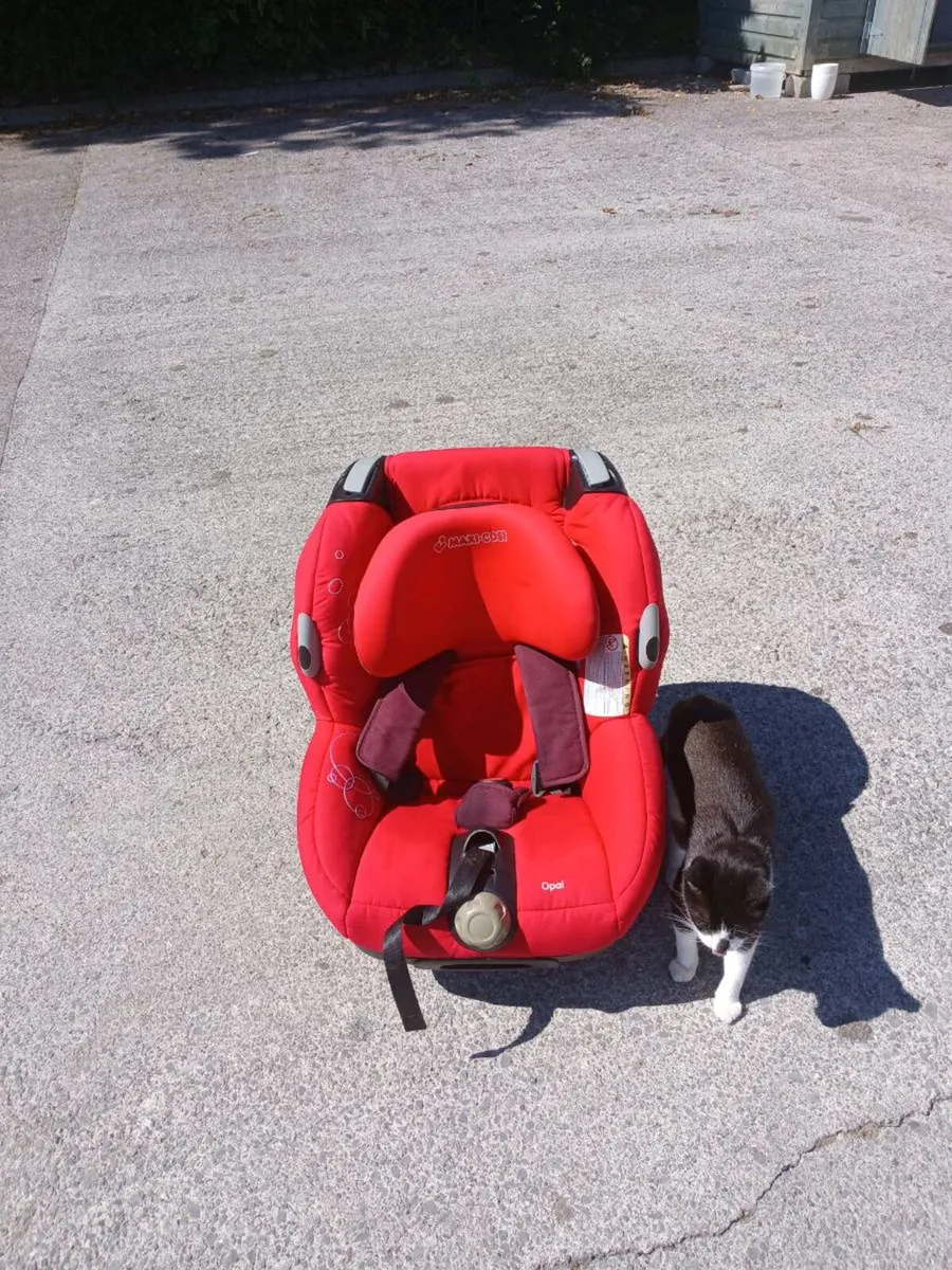 Baby/Toddler Car Seat - Image 3