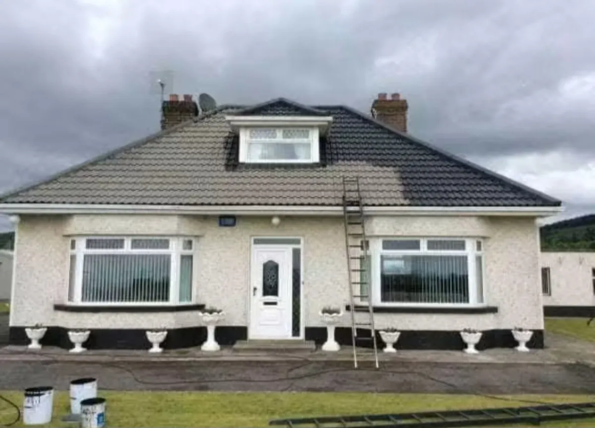 Roof paints - Image 1