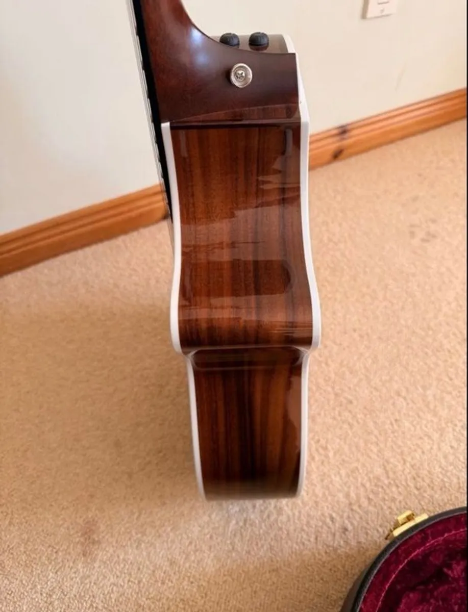 Taylor 414CE-R - Semi Acoustic - Image 4