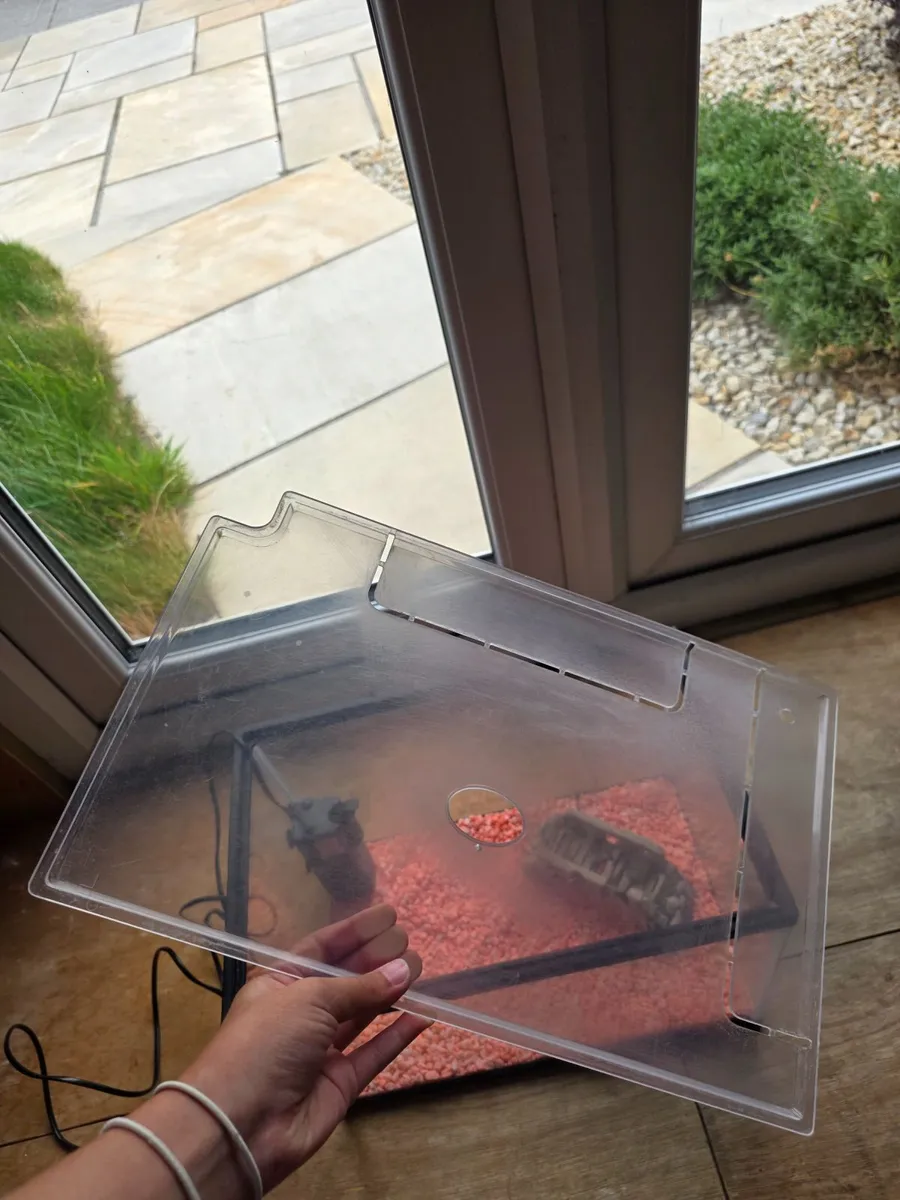 fish tank and accessories - Image 2