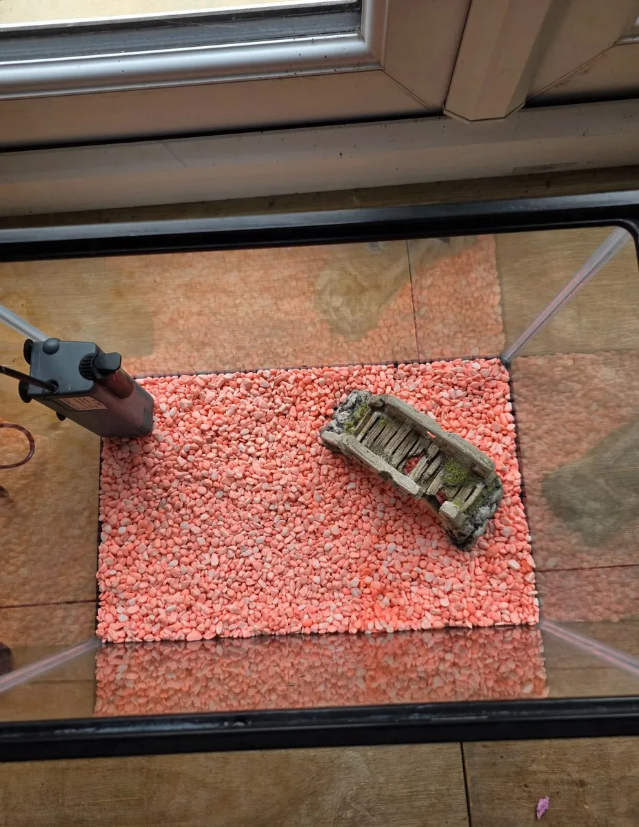 fish tank and accessories - Image 3