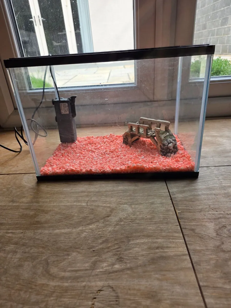 fish tank and accessories - Image 1