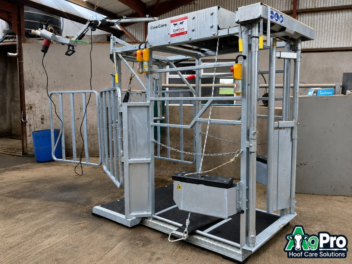 Electric Hoof Trimming crush (40% grant in NI) - Image 2