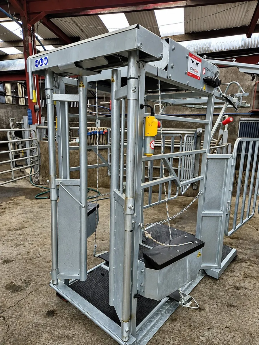 Electric Hoof Trimming crush (40% grant in NI) - Image 3