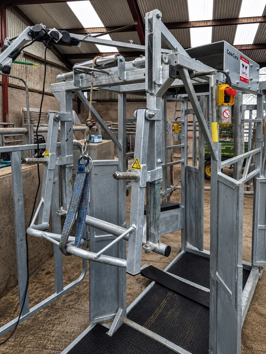 Electric Hoof Trimming crush (40% grant in NI) - Image 4