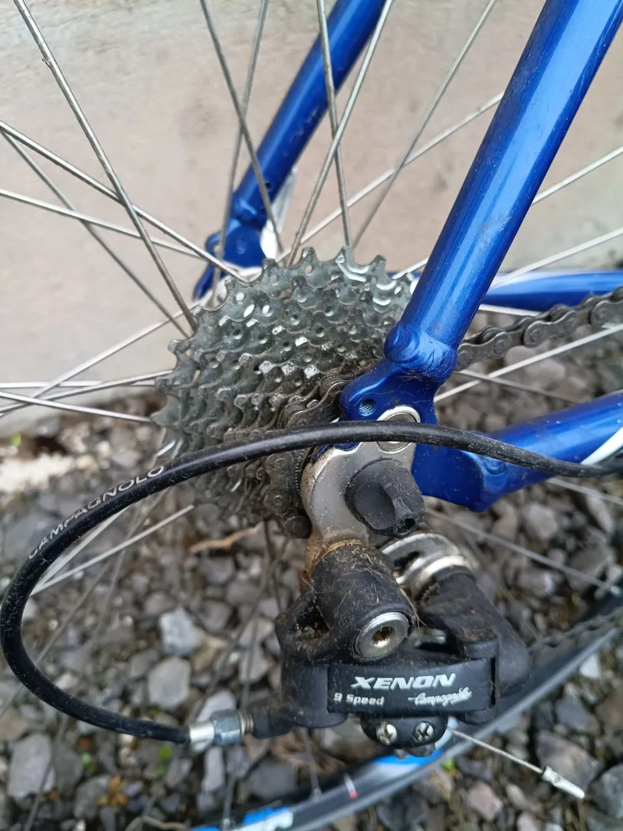Bicycle - Image 4