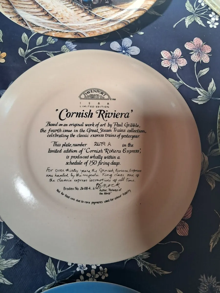 Vintage Davenport plates - Image 1