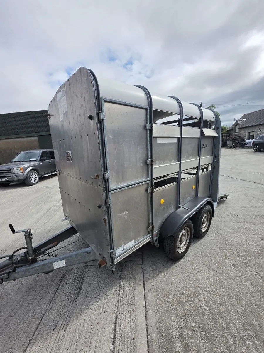 Ifor Williams Livestock Trailer - Image 1