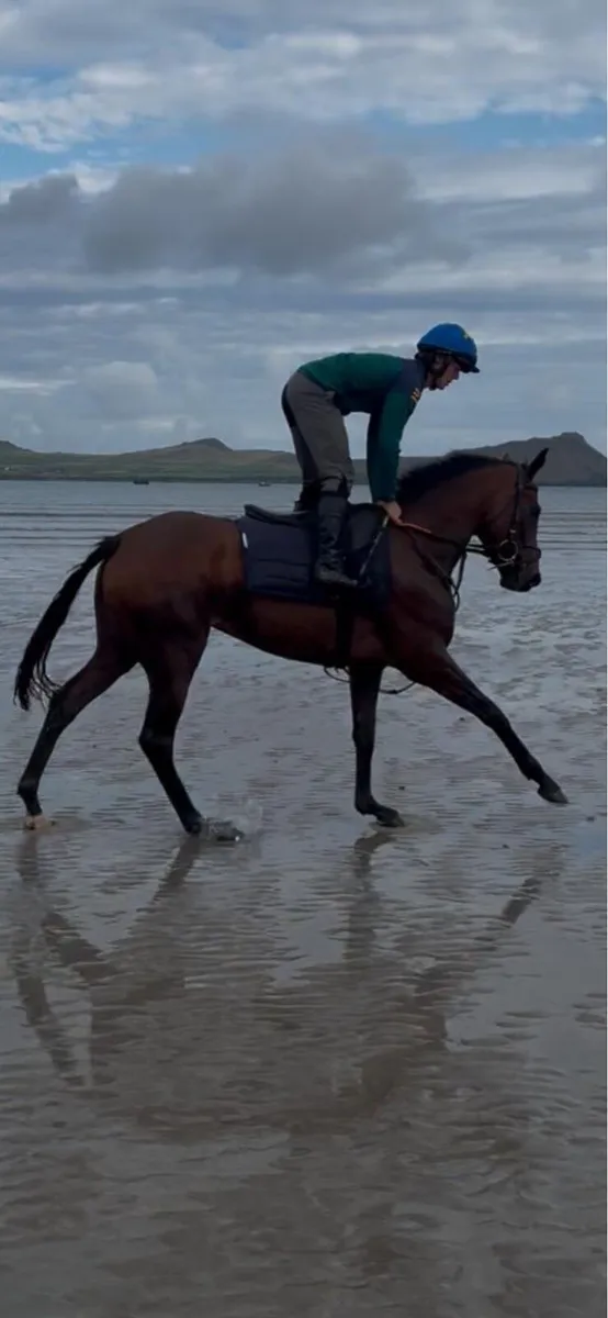 Pony racer - Image 3