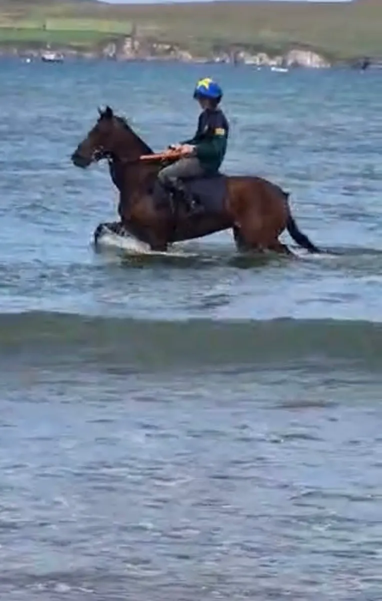 Pony racer - Image 4