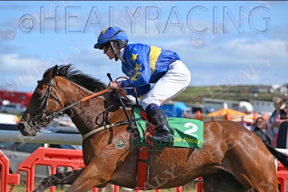 Pony racer - Image 2
