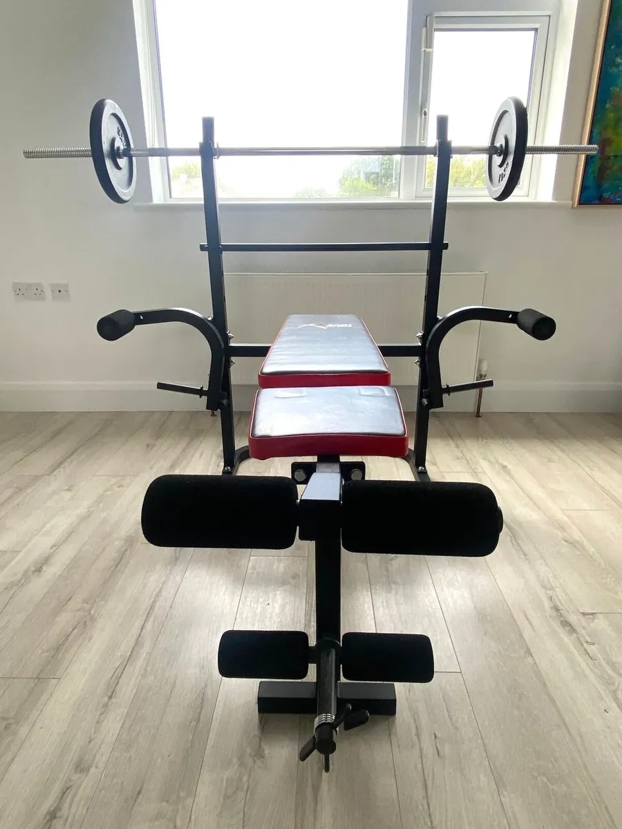Rival Weight Bench + 50kg Barbell & Dumbbell Set - Image 2