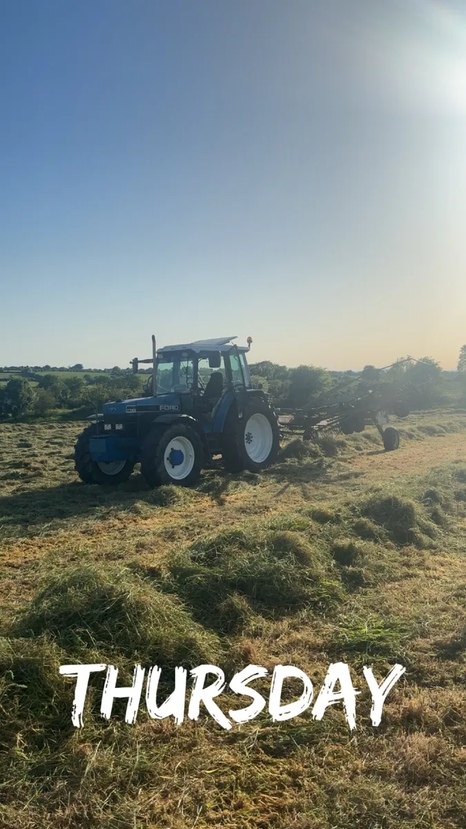 Krone rake - Image 2