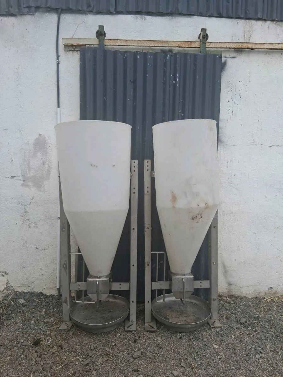 Automatic Pig Feeders - Image 1