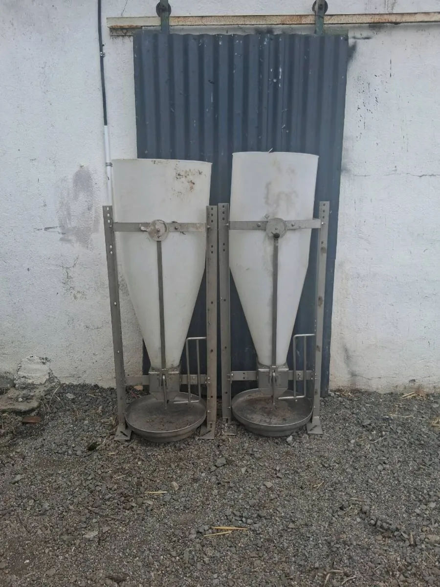 Automatic Pig Feeders - Image 2