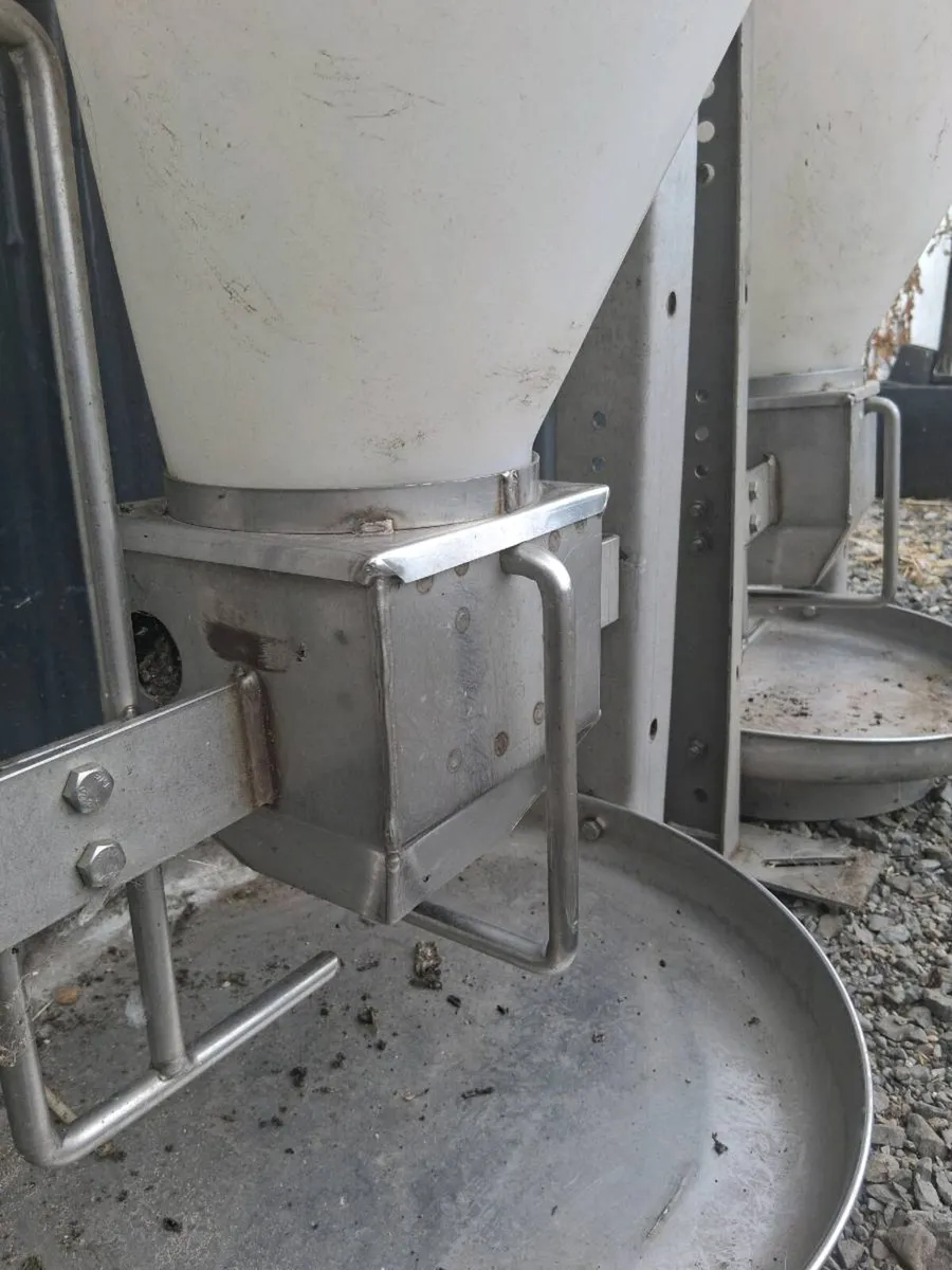 Automatic Pig Feeders - Image 3