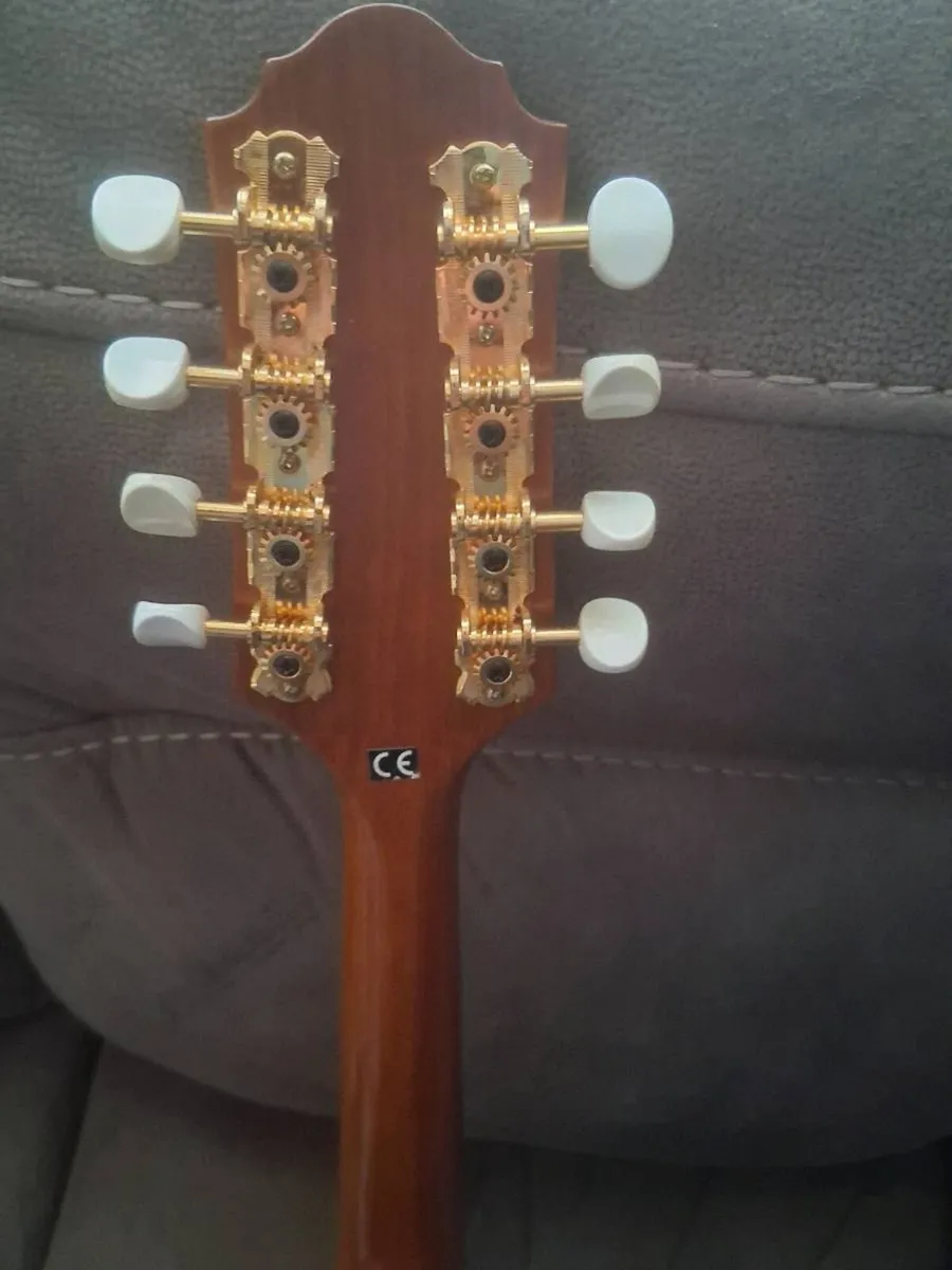 Mandolin. - Image 4